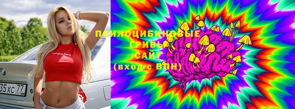 скорость Гатчина