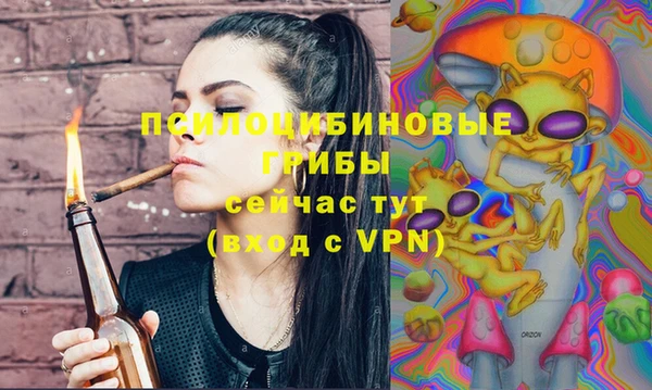 бошки Осинники
