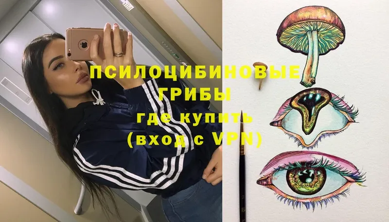 Псилоцибиновые грибы Psilocybe  где можно купить   Югорск 