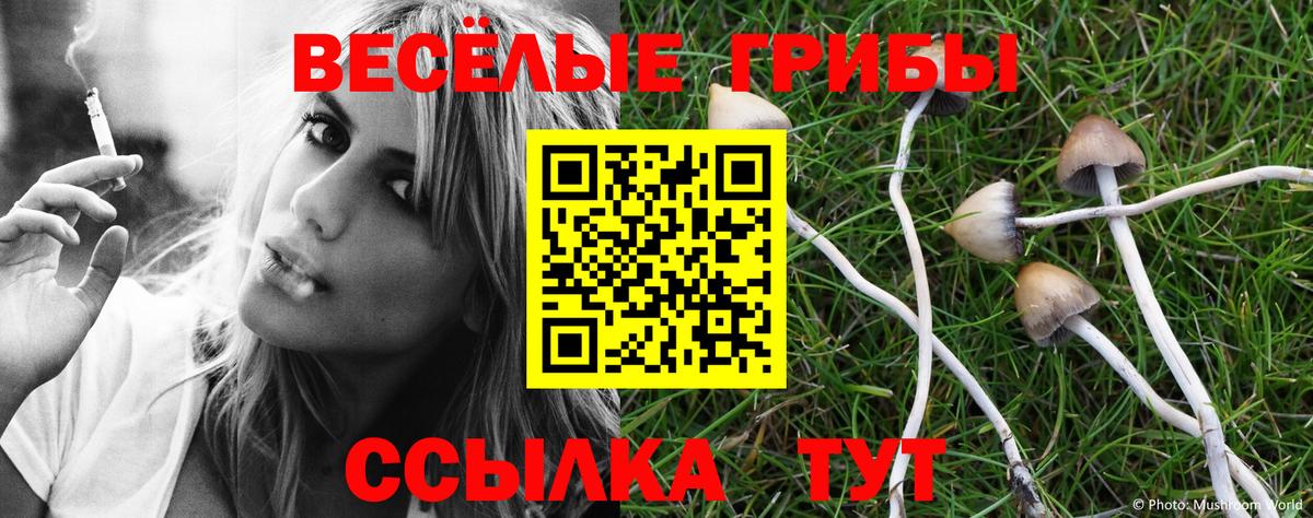 Галлюциногенные грибы Magic Shrooms  Югорск 