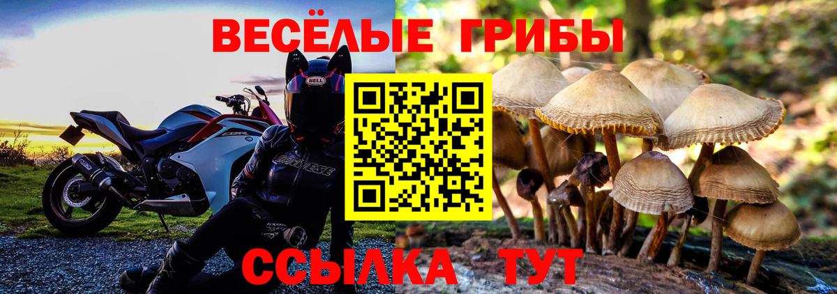 Югорск  Галлюциногенные грибы Psilocybe  Вход с VPN  Галлюциногенные грибы прущие грибы 