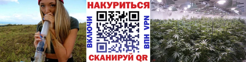 KRAKEN сайт  Югорск  Бошки Шишки SATIVA & INDICA 